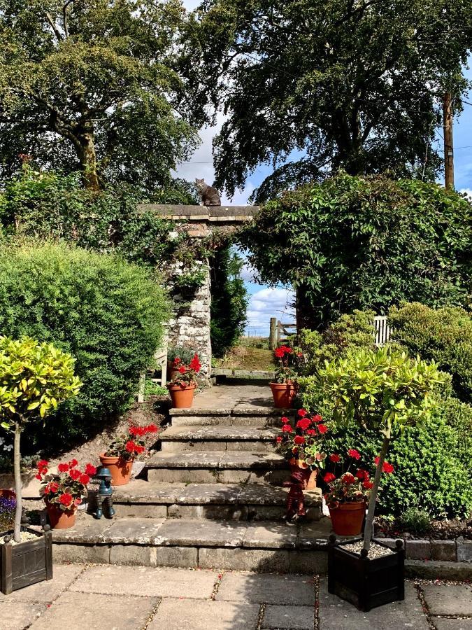 メルローズ The Ghillie Bed & Breakfast エクステリア 写真